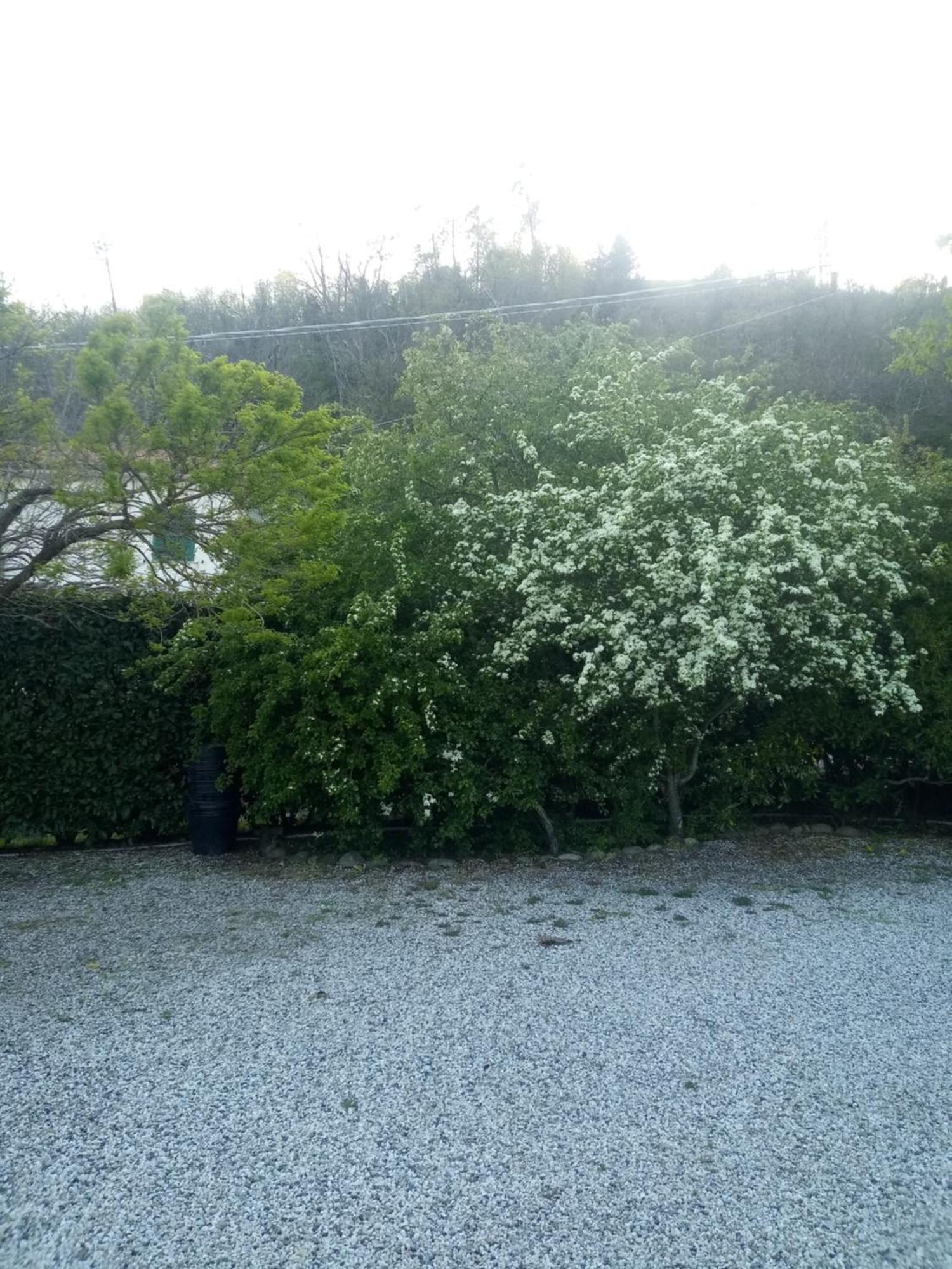 Willa La Torretta Sesta Godano Zewnętrze zdjęcie
